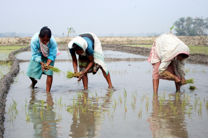 How will climate change affect livelihoods in South Asia?