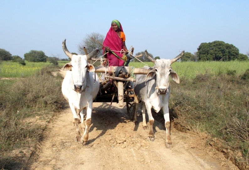 India?s quiet women farmers slip into crisis