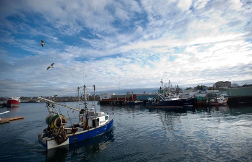 How Dwindling Fish Stocks Get A Reprieve