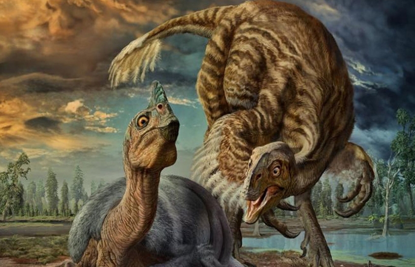 Identity Of Famous Baby Dinosaur Fossil Revealed 