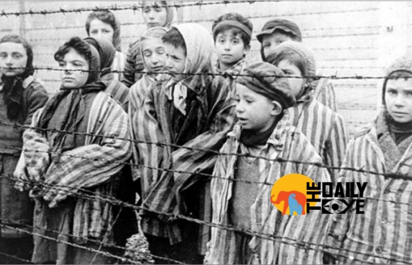 Holocaust Remembrance: Demand and Defend your Human Rights