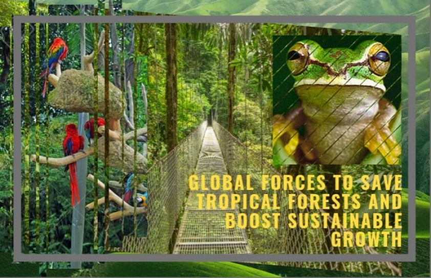 Global leaders join forces to save tropical forests and boost sustainable growth