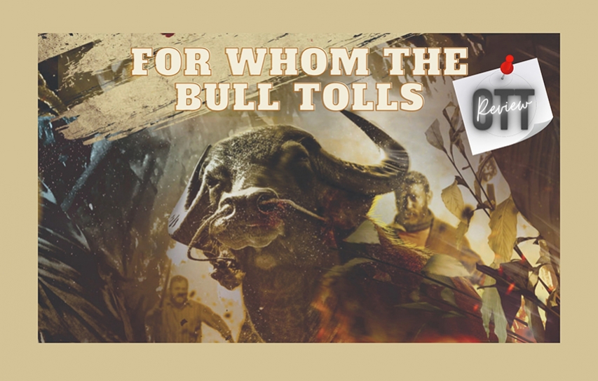 For whom the bull tolls